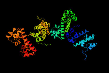 Wall Mural - Ephrin type-B receptor 2, a protein which is a receptor for ephrin-B family members. 3d rendering