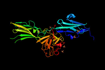 Sticker - Fibroblast growth factor receptor 2, a protein which is a receptor for fibroblast growth factor. 3d rendering