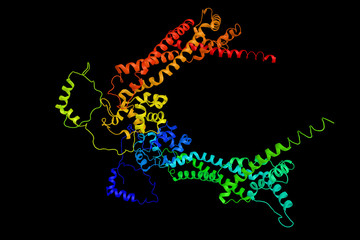 Poster - Formin Homology 2, a formin domain. Formins are a group of proteins that are involved in the polymerization of actin and associate with the fast-growing end of actin filaments. 3d rendering