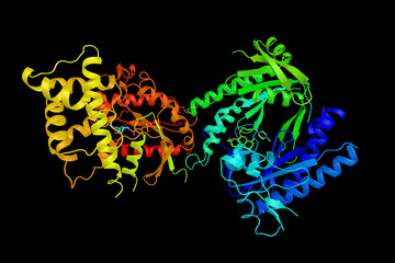 Wall Mural - GNAS complex locus, also known as GNAS, a protein which in humans is encoded by the GNAS gene. The stimulatory G-protein alpha subunit (Gs-alpha), a key component of many signal transduction pathways