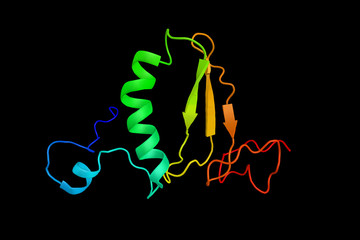 Sticker - Insulin-like growth factor-binding protein 6 (IGFBP-6), a protein that in humans is encoded by the IGFBP6 gene. Connected with extrapancreatic tumor hypoglycemia. 3d rendering