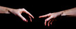 Two male hands trying to touch like a creation of Adam sign isolated on black background. Concept of human relation, community, togetherness, symbolism, culture and history