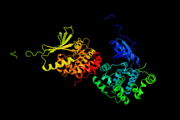 Poster - NIMA (never in mitosis gene a)-related kinase 1, thought to be involved in amytrophic lateral sclerosis. 3d rendering