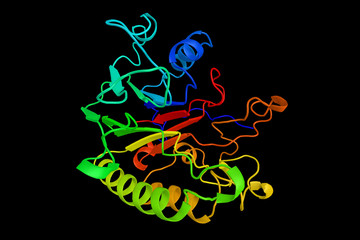 Wall Mural - Retinal-Forming Carotenoid Oxygenase, a member of a family of enzymes involved in the cleavage of carotenoids to produce Vitamin A. 3d rendering