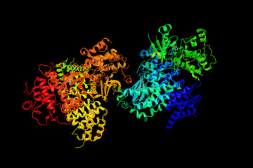 Sticker - Serine/threonine kinase 11, also known as liver kinase B1, a protein kinase which regulates cell polarity and functions as a tumour suppressor. 3d rendering