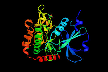 Poster - Serine/threonine-protein kinase 25, an enzyme that in humans is encoded by the STK25 gene. Involved in stress response. 3d rendering