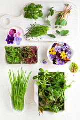 Poster - Different types of organic microgreens sprouts and edible flowers. Vegetarian, clean and healthy eating concept. Seed germination at home..