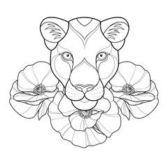 Wall Mural - Hand drawing panther with poppies flowers for greeting card, invitation, Henna drawing and tattoo template. Vector illustration