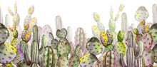 Seamless Banner With Green Cactus Plants.