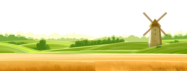 Wall Mural - Wheat field landskape. Isolated Vector on a white background. Green grassy hills. Windmill for grinding flour. Rural rustic scenery. Trees, shrubs. Flat style.