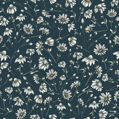  Seamless patern with pencil chamomile. Summer pencil wild flowers endless pattern. Chamomile daisy background.  For fabrics, textile, wallpaper, packing, wrapping paper, invitation, website design.