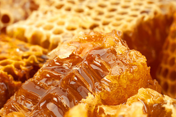 Wall Mural - Honeycomb slice closeup background