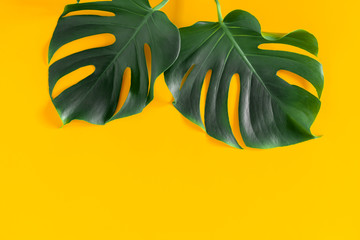 Wall Mural - Summer concept. Green leaves Monstera on yellow background. Flat lay, top view, copy space