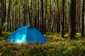 Wall Mural - hiking travel life style passion concept picture of tent camp side place in forest moody nature environment green foliage and ground with hand made stone trail