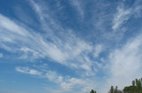 Fototapeta Niebo - clouds and blue sky over plants
