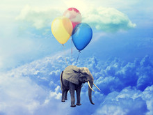 Image Of Elephant Attached To Balloons Flying Through A Cloudy Blue Sky.
