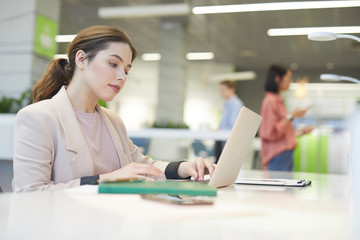 Wall Mural - side view portrait of young businesswoman using laptop at work in office, copy space