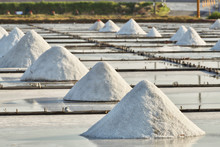 Dried Salt At Salt Pan Ready For Harvesting In Tainan, Taiwan                                                                                                                                 Salt Pans 