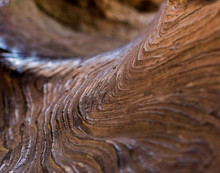 Swirling Wood Texture Background