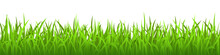 Green Grass On White Background, Spring Lawn. Panoramic View, Vector Illustration.