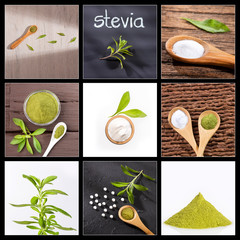 Canvas Print - Creative collage of Stevia rebaudiana images