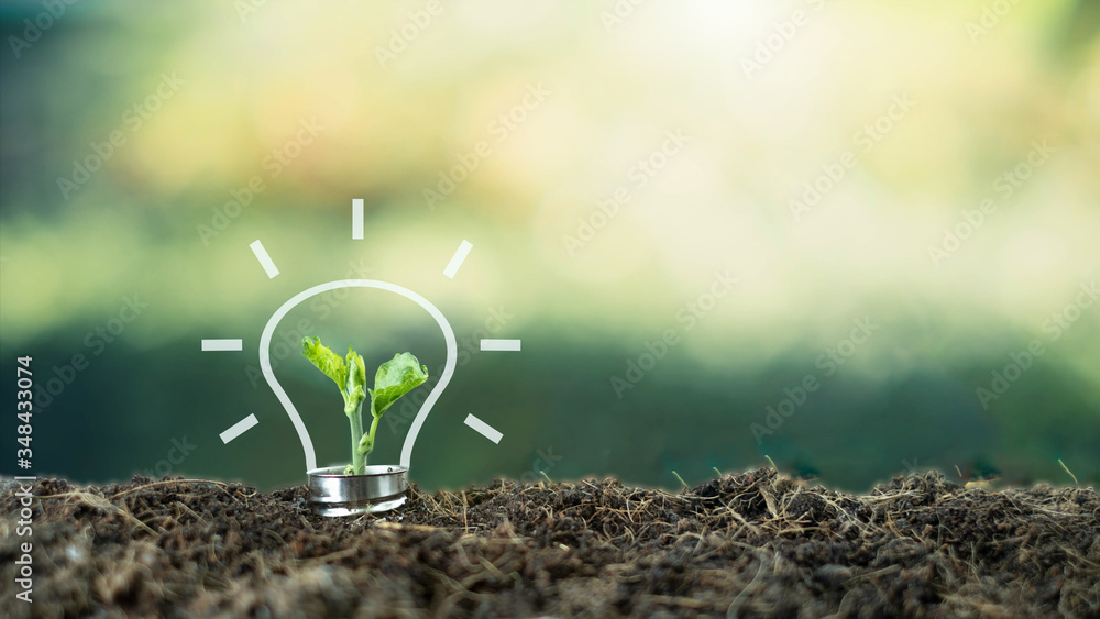 A small tree born on a light bulb with icons light bulb for renewable, sustainable development over blurred green nature background.  environment concept.Ecology concept. - obrazy, fototapety, plakaty 