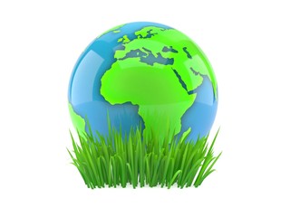 Wall Mural - World globe on grass