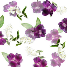 Beautiful Floral Background Of Alstroemeria And Jasmine. Isolated