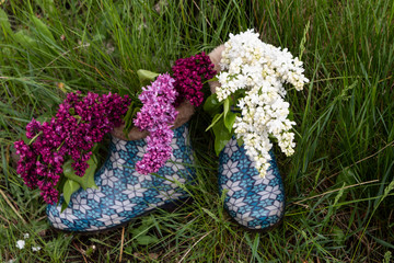 Wall Mural - In the green grass are women's spring boots with white and purple lilacs.