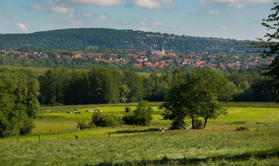 blick auf obernai im elsass