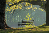 Fototapeta Krajobraz - Piękna ławeczka w malowniczym parku