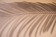 Shadow of palm leaf on natural earthy colors background. Creative drawing of light and shadow for your design