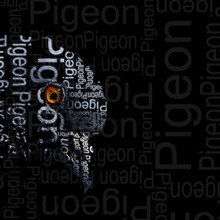 Pigeon Head Text Portrait On Black Background