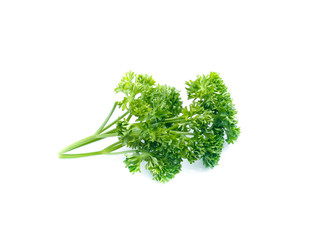 parsley isolated on white background