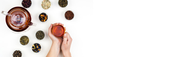 Woman's hands hold a cup of tea. Different kinds of dry tea herbs in glass cups and teapot with brew tea on white background. Horisontal banner with copy space.