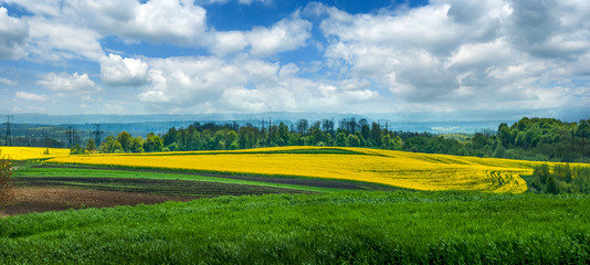 Fotomurales - Panoramic view of agricultural fields in springtime. Yellow fields of oilseed rape and green meadows