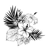 Fototapeta Storczyk - Composition with hibiscus and palm leaves. Vector botanical illustration