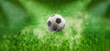Fototapeta Sport - ball on the green field in soccer stadium. ready for game