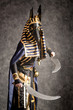 Cosplay Costume Egyptian God Anubis