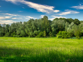 Canvas Print - Paysage rural