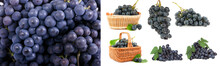 Grape, Vineyard, Grapes, Vine, Fruit, Wine, Traube, Weinberg, Trauben, Weinstock, Obst, Wein,	