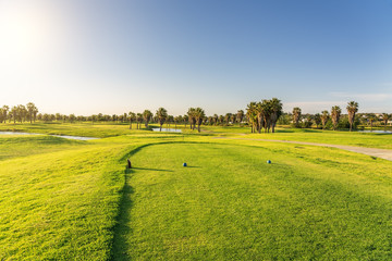 Wall Mural - Beautiful, with green grass, golf course, with a pond, with sunny blue and clear sky. Portugal, Algarve.