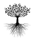 Fototapeta  - Black Tree silhouette with Leaves and Roots. Vector outline Illustration. Plant in Garden. Royalty free vector object.