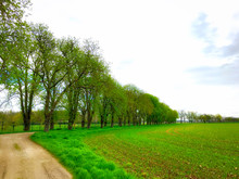 Road Passing Through Grassy Field