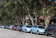 A Sydney Street Of Historical Houses. The Tree Lined Street Has A Row Of Paper Bark Trees. Also A Row Of Parked Cars Are On The Street