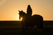 Reiterin und Pferd beobachten den Sonnenuntergang