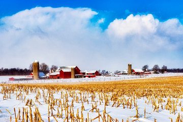 Winter Farm Landscape