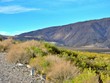 © NICOLAS COSTA - VEGETACIÓN Y MONTAÑAS