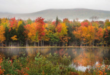 Autumn Foliage Landscape With Lake Reflection