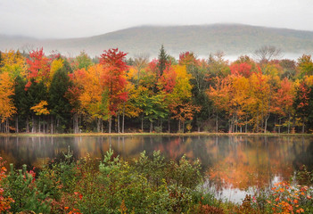 autumn foliage landscape with lake reflection